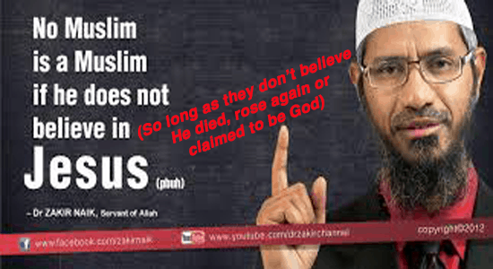 Image: Dr. Zakir Naik