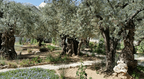 Gethsemane