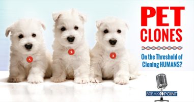 Pet Clones - On the Threshold of Cloning Humans?