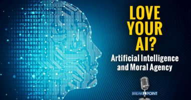 Love Your AI? Artificial Intelligence and Moral Agency